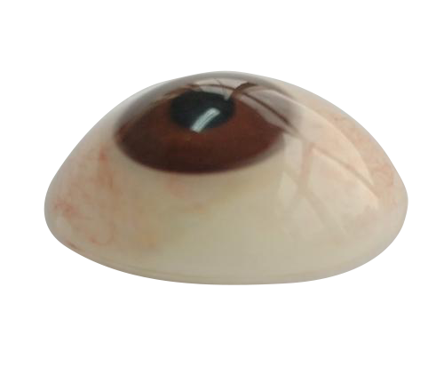 包头微雕义眼定制